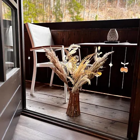 Stoellinger Mit Traumausblick