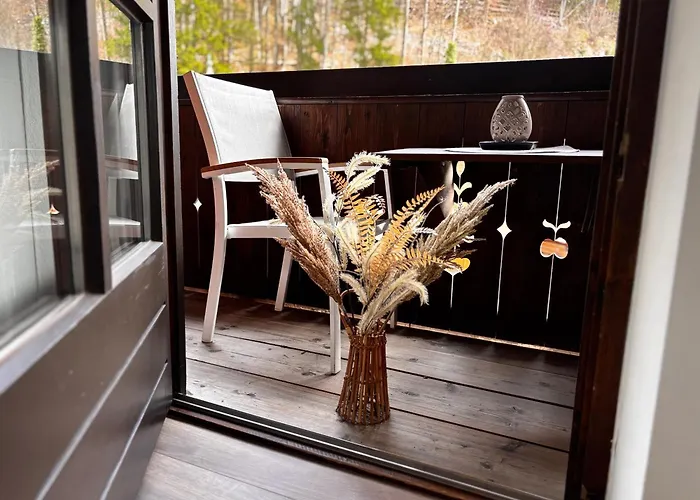 Stoellinger Mit Traumausblick